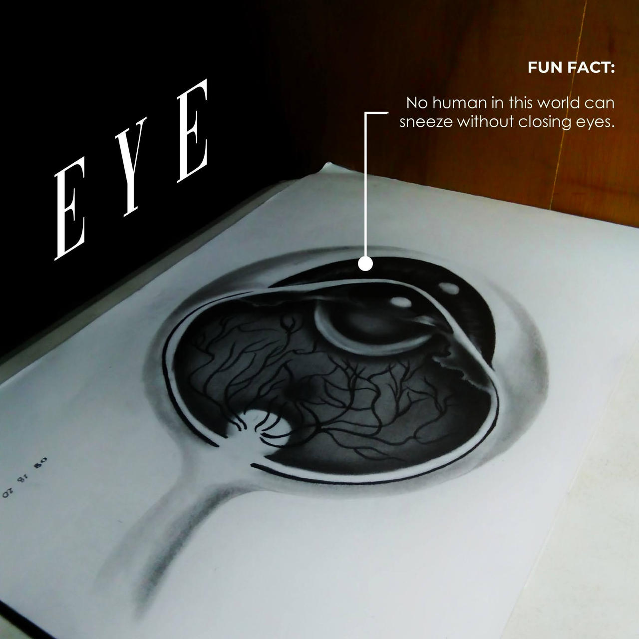Human Eye Drawing | Internal Organs by Jellyfish34m on DeviantArt