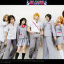Bleach: The Usual Suspects