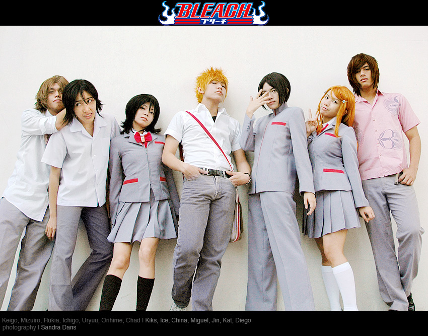 Bleach: The Usual Suspects