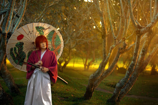 Rurouni Kenshin: Heart of the Sunrise
