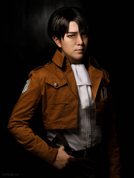 Attack on Titan: Humanity's Strongest