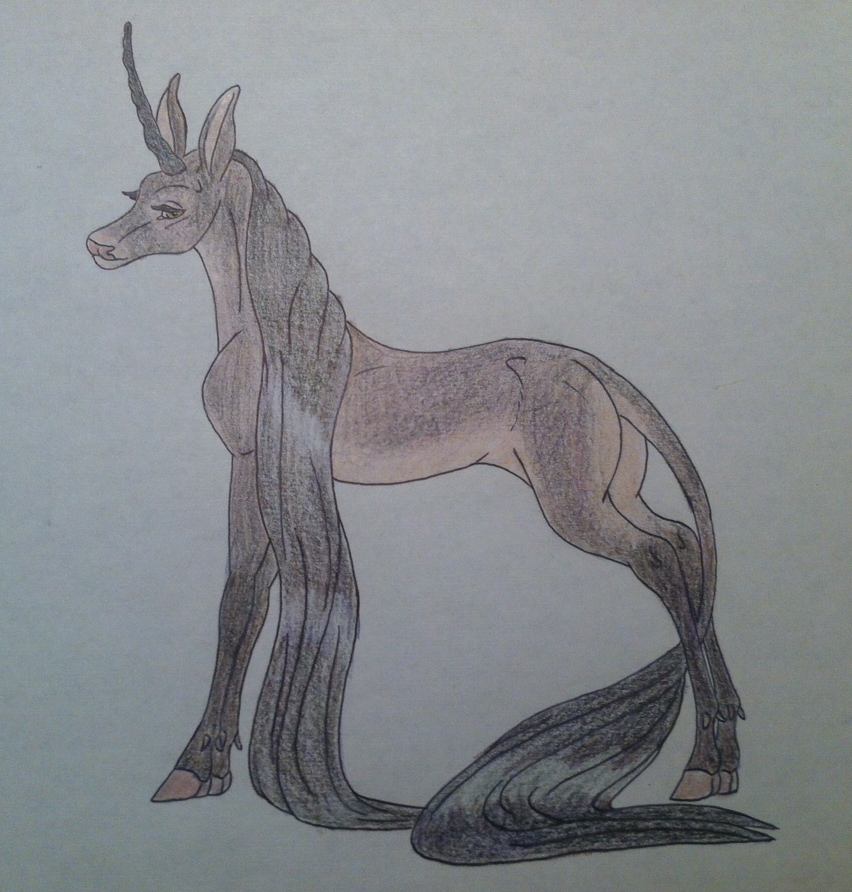 VH's Witch's Brew | Doe | Saddle Type