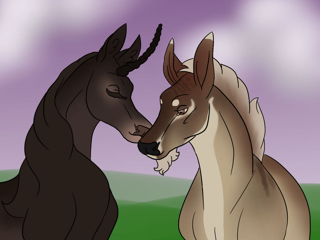 The Dawn and the Dusk
