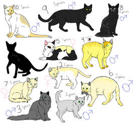 Adoptable Cats