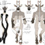 Moth Ref 2013