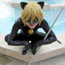 Omni Expo- Chat Noir 3