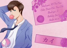 Kai -EXO OTOME Profile