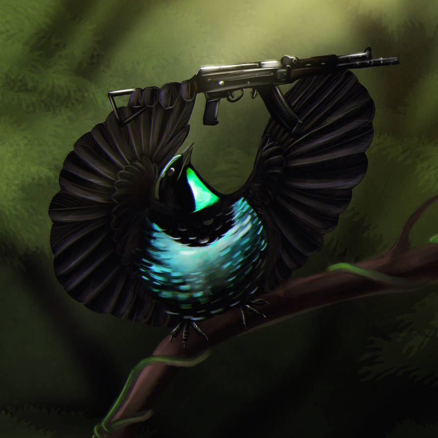Magnificent Riflebird Drawing Riflebird by Great-Skua on DeviantArt