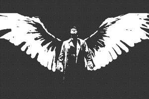 Castiel Wings