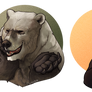 Bearssss [DnD]