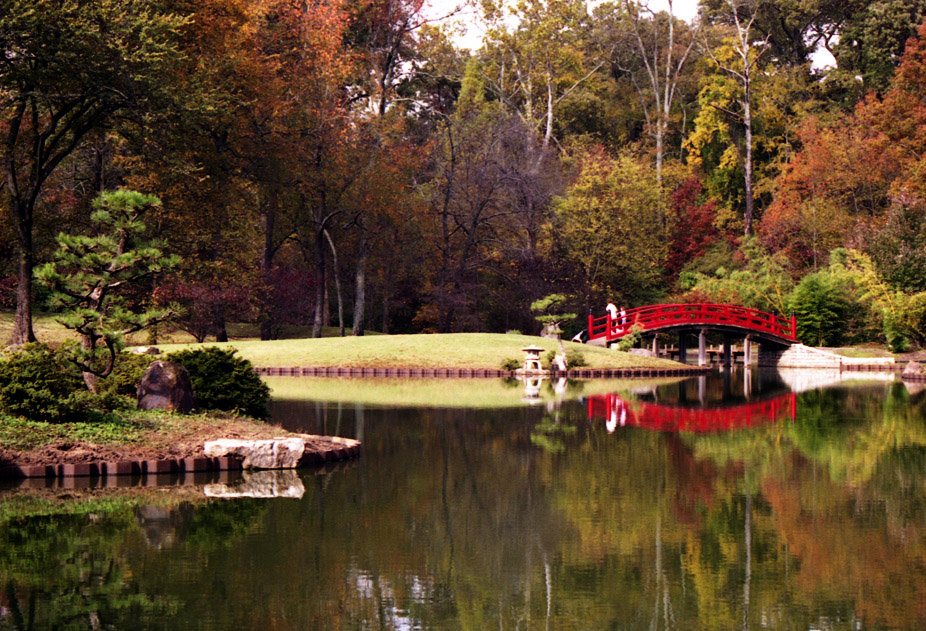 Japanese Bridge