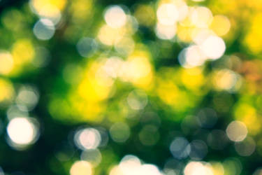 Bokeh 1