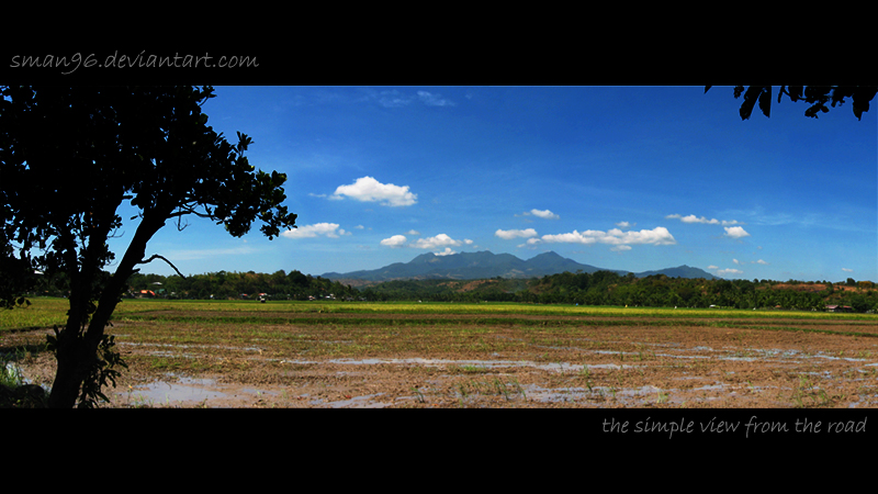 the simple view from the road