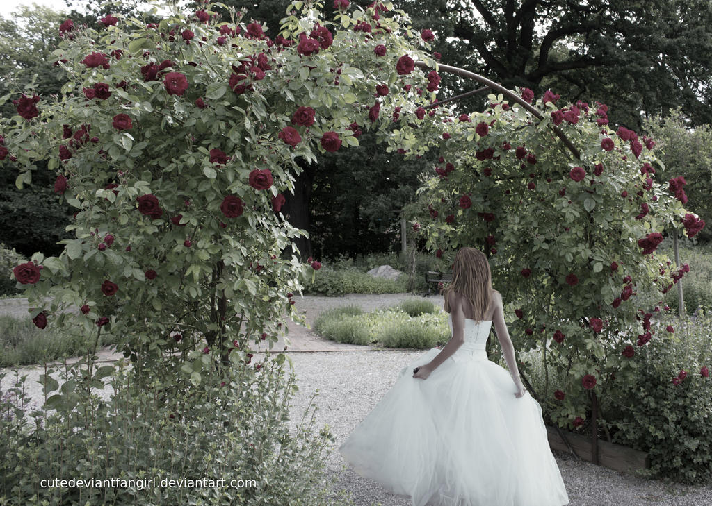 A Stroll in the Park by C-D-F-G A Stroll in the Park by C-D-F-G