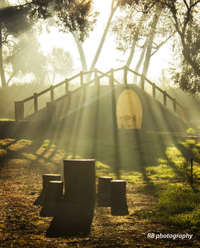 the magic little bridge in the woods