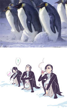 Penguin dads take care of the babies