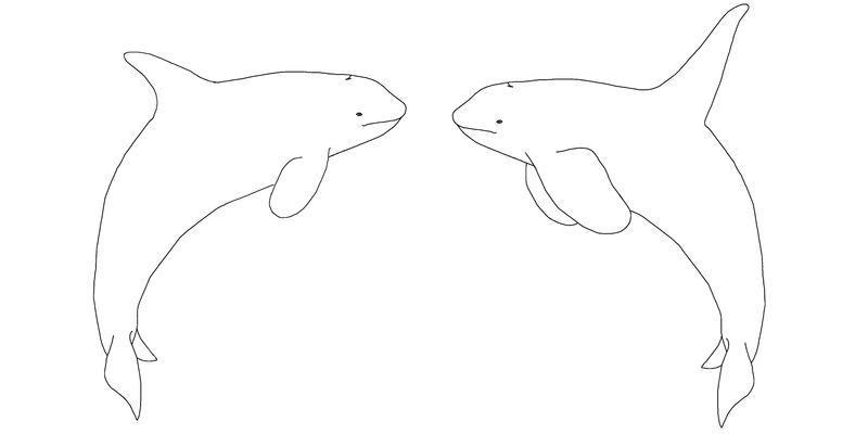 Free Female/Male Orca Linearts by AnoOrca on DeviantArt