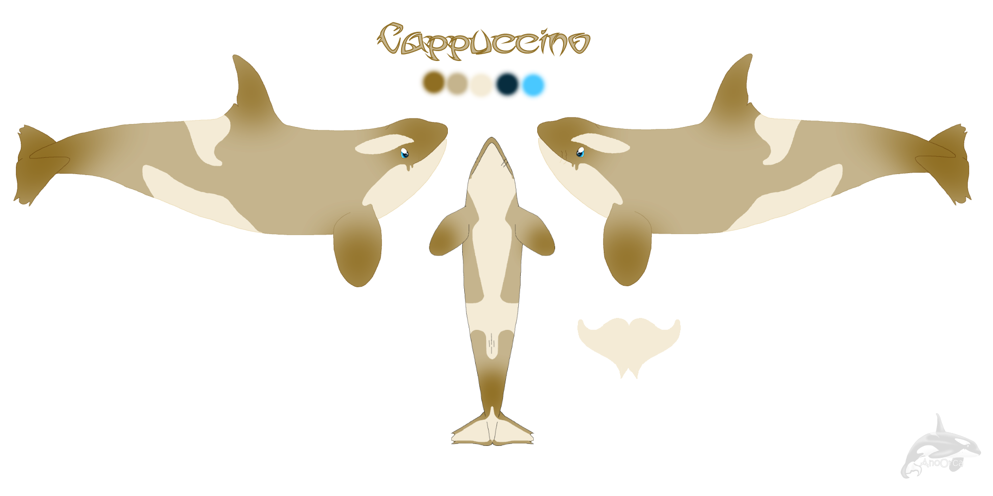 Cappuccino Reference Sheet (Polar Pelagic)
