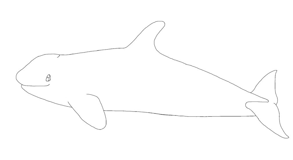 Free Young Orca Lineart by AnoOrca on DeviantArt