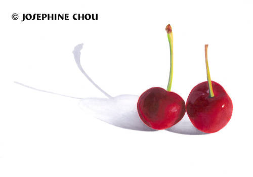 Cherries -marker render-