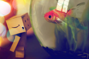 Danbo Is Amazed