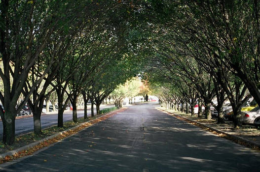 green arch