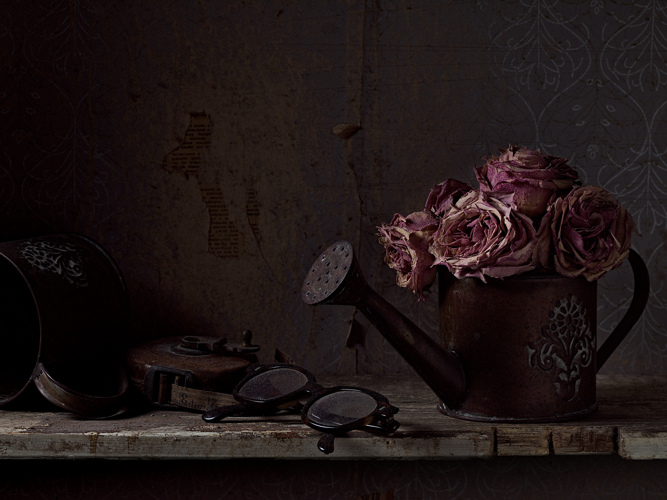 Still-life with watering can