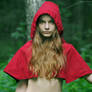 Red Riding Hood D #2