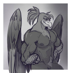 Commission: Griffin Sketch