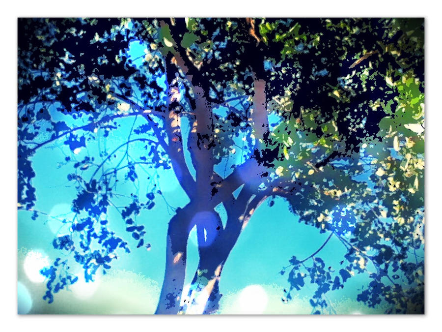 Shiny tree by thunderman91 on DeviantArt