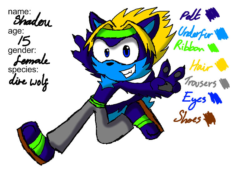 Shadou Shadou char sheet by ShadouTheWolf on DeviantArt