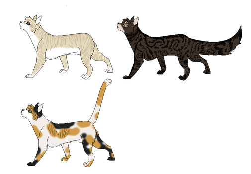 Cat  Adoptables -OPEN-