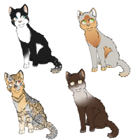 Adoptable cats (3/4 left)