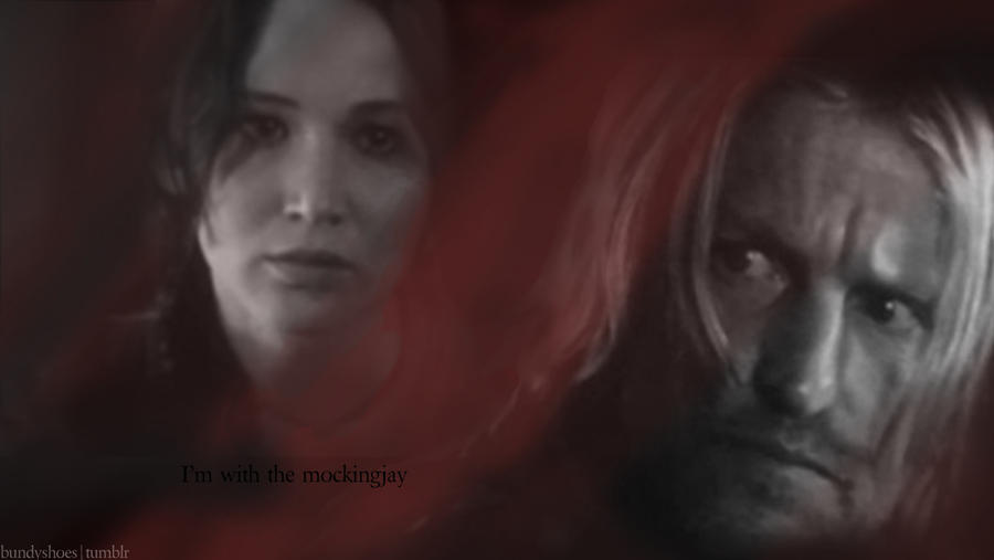Haymitch and Katniss by AllenLenalee on DeviantArt