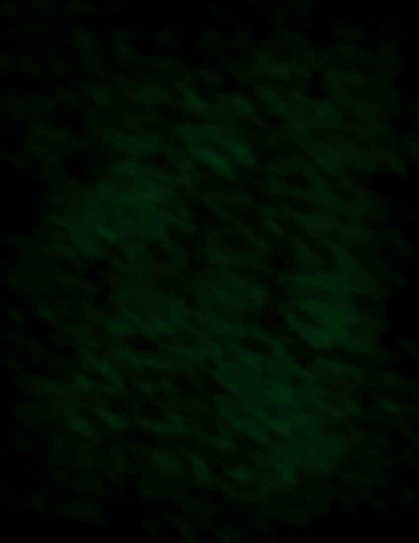 Dark Green Texture/Background by DragonLilyStock on DeviantArt