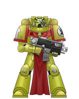 Imperial Fists Space Marine