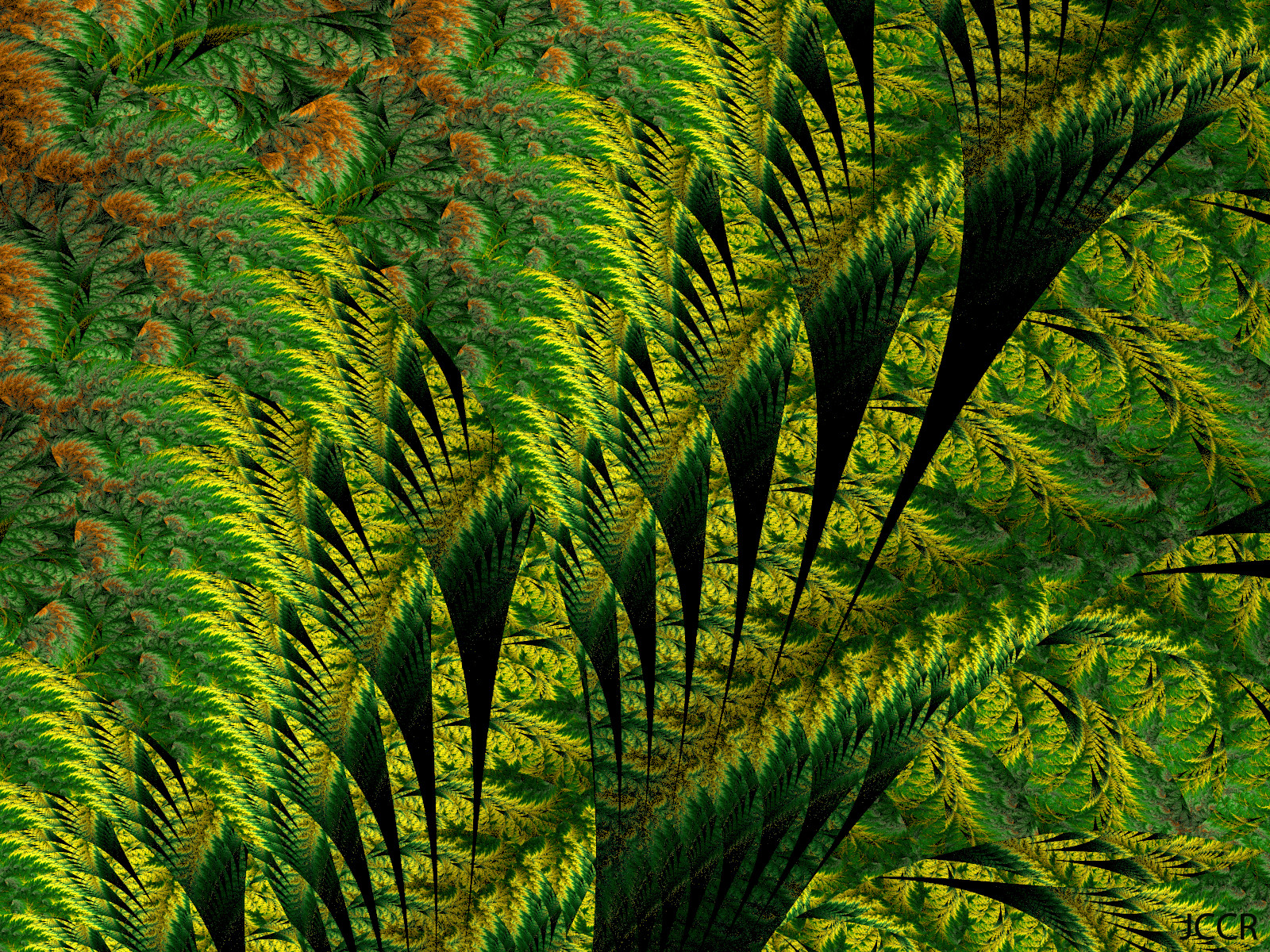 Tropical Fractal