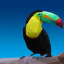 Low Poly :: Toucan