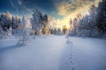 Winter by MikkoLagerstedt