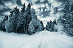 The Spirit Of Winter by MikkoLagerstedt