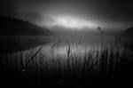 . by MikkoLagerstedt