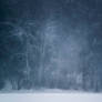 Winter blues