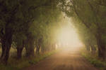 Path by MikkoLagerstedt