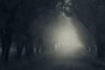 Path II by MikkoLagerstedt