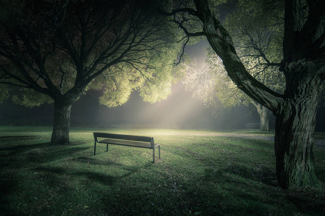 In The Spotlight by MikkoLagerstedt