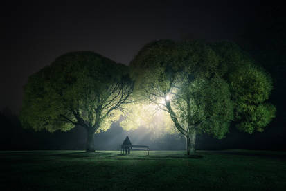 Night at the Park