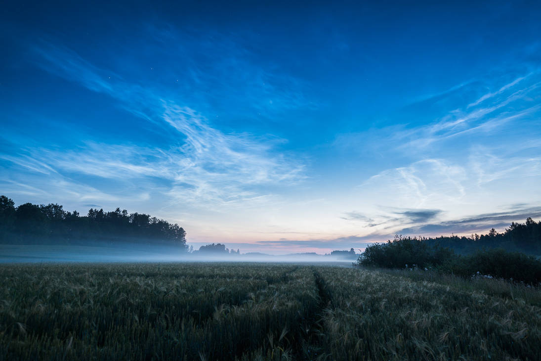 Luminous Night II by MikkoLagerstedt