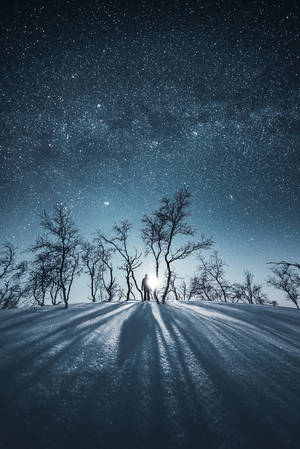 Long Shadows by MikkoLagerstedt