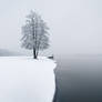 First Snow