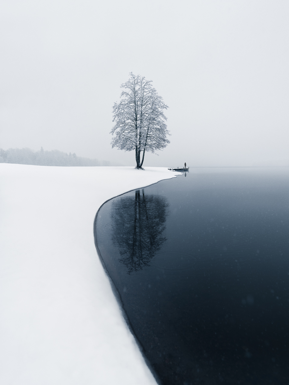 Reflect